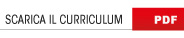 KS Mosaici - Curriculum Vitae